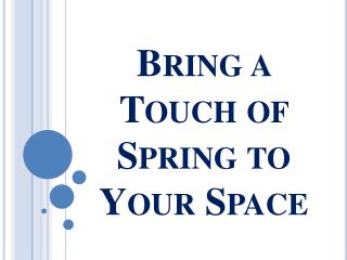 Bring a Touch of Spring to Your Space