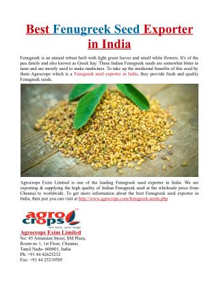Best Fenugreek Seed Exporter in India