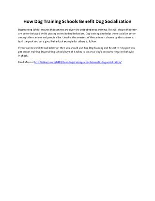 How Dog Training Schools Benefit Dog Socialization