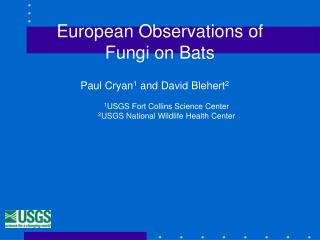 European Observations of Fungi on Bats