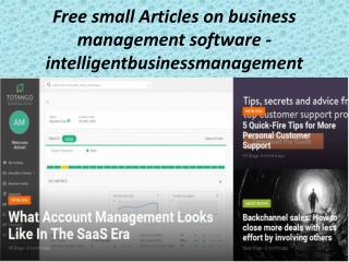 Free small Articles on business management software - intelligentbusinessmanagement