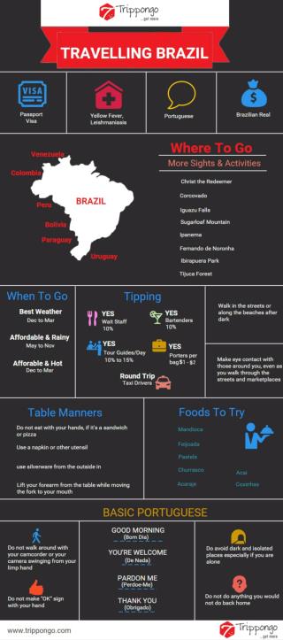 Brazil Travelling Infographic - Trippongo
