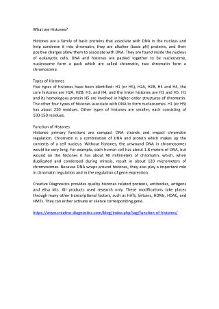 what is histone
