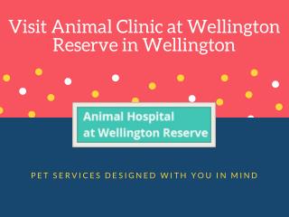 Affordable Pet Boarding Facilities in Wellington FL