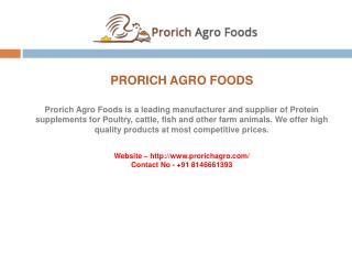 Animal Feed Suppliers, Manufacturers India | Prorich Agro Foods