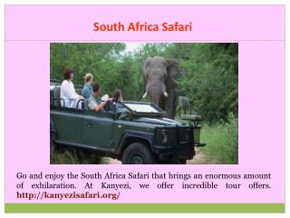 South Africa Safari Cost