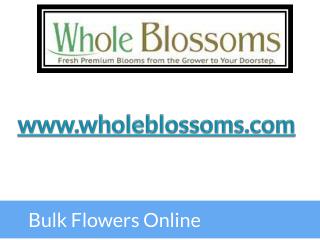 Bulk Flowers Online - www.wholeblossoms.com