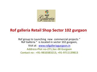 Rof Galleria | Rof galleria gurgaon