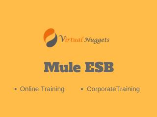 Mule ESB Online Training | Self Learning Videos