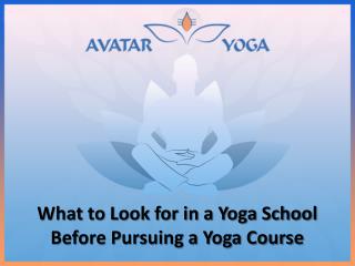 What to Look for in a Yoga School Before Pursuing a Yoga Course