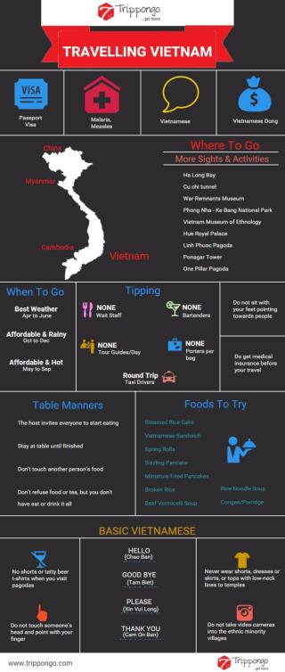 Vietnam Travelling Infographic - Trippongo