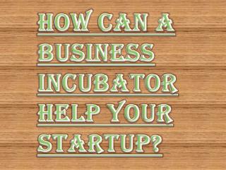 Role of Business Incubator in Your Startup