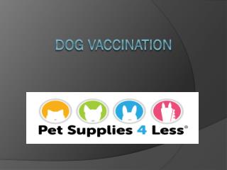 Dog Vaccination