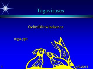 Togaviruses