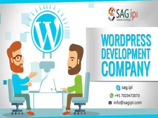 Best Wordpress Development Company in India - SAG IPL
