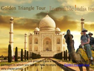 Golden Triangle Tour Packages