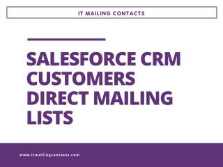 SaleForce CRM Users List