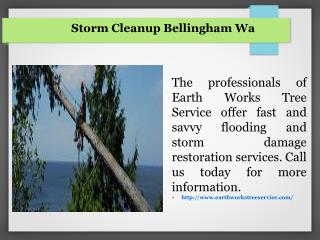 Storm Cleanup Bellingham Wa
