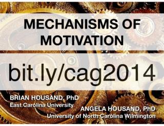 Mechanisms of Motivation: 5 C’s for Promoting Creative Productive Giftedness
