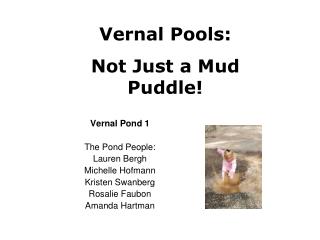 Vernal Pond 1 The Pond People: Lauren Bergh Michelle Hofmann Kristen Swanberg Rosalie Faubon Amanda Hartman
