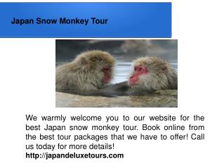 Japan Snow Monkey Tour