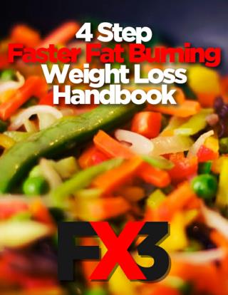 4 Step Faster Fat Burning Weight Loss Handbook