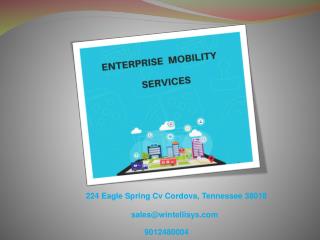 Overcome Business Challenges with Enterprise Mobility Services