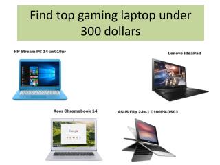 Laptop under $300