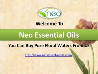 You Can Buy Pure Floral Waters From Us