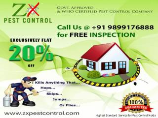 Highest Standard Pest Control Noida Call 9899176888