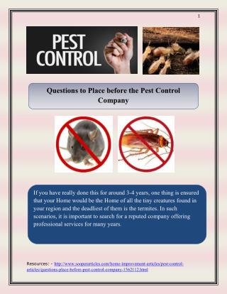 Questions to Place before the Pest Control Company