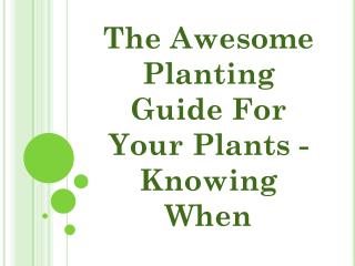 The Awesome Planting Guide For Your Plants – Knowing When