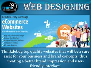 Ecommerce Website designing company in Harare.