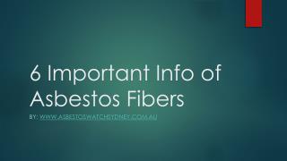 Top 6 Asbestos Important Information