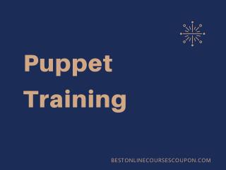 Puppet Training