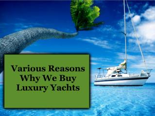 Various Reasons Why We Buy Luxury Yachts