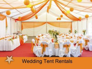 Wedding Tent Rentals