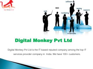 SEO Services Company Delhi NCR