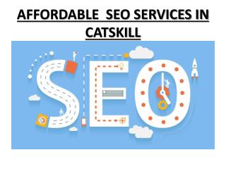 We provider several SEO Service In CATSKILL.