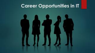 Career Opportunities in IT