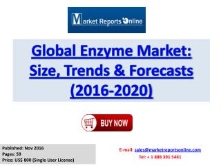 Enzyme Market Global Trends, Size, Growth Drivers and Competitive Landscape Analysis 2016-2020