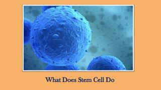 What Does Stem Cell Do