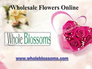 Wholesale Flowers Online - www.wholeblossoms.com