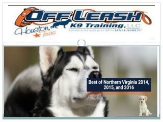 Dog Trainers in Northern Virginia USA