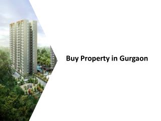 Buy Property in Gurgaon