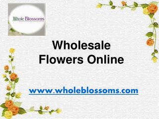 Wholesale Flowers Online - www.wholeblossoms.com