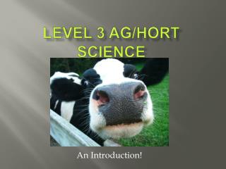 Level 3 Ag/ Hort Science