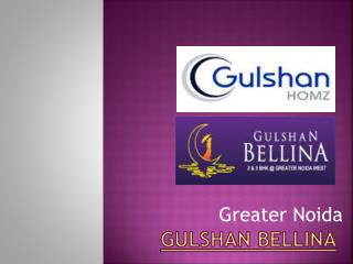 Gulshan Bellina Apartment Noida Extension