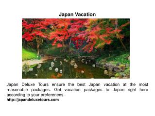 Japan Vacation