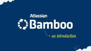 Bamboo - an introduction